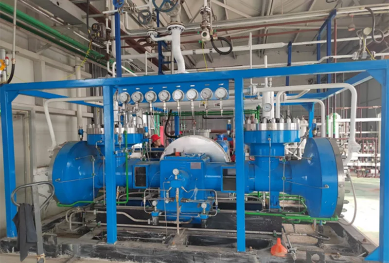 D Diaphragm Compressor